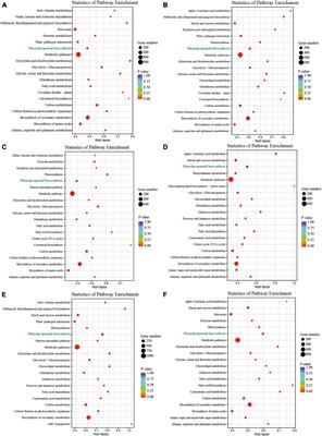 The Roles of microRNA-Long Non-coding RNA-mRNA Networks in the Regulation of Leaf and Flower Development in Liriodendron chinense